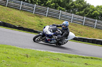 Lower Group Blue Bikes