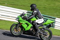 Lower Group Green Bikes