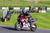 cadwell-no-limits-trackday;cadwell-park;cadwell-park-photographs;cadwell-trackday-photographs;enduro-digital-images;event-digital-images;eventdigitalimages;no-limits-trackdays;peter-wileman-photography;racing-digital-images;trackday-digital-images;trackday-photos