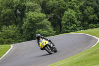 cadwell-no-limits-trackday;cadwell-park;cadwell-park-photographs;cadwell-trackday-photographs;enduro-digital-images;event-digital-images;eventdigitalimages;no-limits-trackdays;peter-wileman-photography;racing-digital-images;trackday-digital-images;trackday-photos