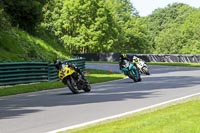 cadwell-no-limits-trackday;cadwell-park;cadwell-park-photographs;cadwell-trackday-photographs;enduro-digital-images;event-digital-images;eventdigitalimages;no-limits-trackdays;peter-wileman-photography;racing-digital-images;trackday-digital-images;trackday-photos