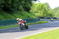 cadwell-no-limits-trackday;cadwell-park;cadwell-park-photographs;cadwell-trackday-photographs;enduro-digital-images;event-digital-images;eventdigitalimages;no-limits-trackdays;peter-wileman-photography;racing-digital-images;trackday-digital-images;trackday-photos