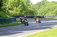 cadwell-no-limits-trackday;cadwell-park;cadwell-park-photographs;cadwell-trackday-photographs;enduro-digital-images;event-digital-images;eventdigitalimages;no-limits-trackdays;peter-wileman-photography;racing-digital-images;trackday-digital-images;trackday-photos