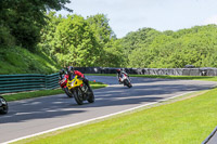 cadwell-no-limits-trackday;cadwell-park;cadwell-park-photographs;cadwell-trackday-photographs;enduro-digital-images;event-digital-images;eventdigitalimages;no-limits-trackdays;peter-wileman-photography;racing-digital-images;trackday-digital-images;trackday-photos
