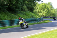 cadwell-no-limits-trackday;cadwell-park;cadwell-park-photographs;cadwell-trackday-photographs;enduro-digital-images;event-digital-images;eventdigitalimages;no-limits-trackdays;peter-wileman-photography;racing-digital-images;trackday-digital-images;trackday-photos