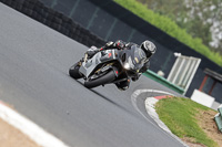 Lower Group Silver/Grey Bikes