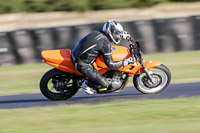 Evening Low/Mid Group Orange Bikes