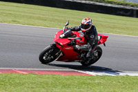 Lower Group Red Bikes