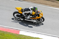 brands-hatch-photographs;brands-no-limits-trackday;cadwell-trackday-photographs;enduro-digital-images;event-digital-images;eventdigitalimages;no-limits-trackdays;peter-wileman-photography;racing-digital-images;trackday-digital-images;trackday-photos