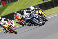 brands-hatch-photographs;brands-no-limits-trackday;cadwell-trackday-photographs;enduro-digital-images;event-digital-images;eventdigitalimages;no-limits-trackdays;peter-wileman-photography;racing-digital-images;trackday-digital-images;trackday-photos
