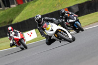 brands-hatch-photographs;brands-no-limits-trackday;cadwell-trackday-photographs;enduro-digital-images;event-digital-images;eventdigitalimages;no-limits-trackdays;peter-wileman-photography;racing-digital-images;trackday-digital-images;trackday-photos