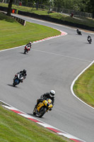 brands-hatch-photographs;brands-no-limits-trackday;cadwell-trackday-photographs;enduro-digital-images;event-digital-images;eventdigitalimages;no-limits-trackdays;peter-wileman-photography;racing-digital-images;trackday-digital-images;trackday-photos