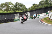 enduro-digital-images;event-digital-images;eventdigitalimages;mallory-park;mallory-park-photographs;mallory-park-trackday;mallory-park-trackday-photographs;no-limits-trackdays;peter-wileman-photography;racing-digital-images;trackday-digital-images;trackday-photos