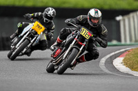 enduro-digital-images;event-digital-images;eventdigitalimages;mallory-park;mallory-park-photographs;mallory-park-trackday;mallory-park-trackday-photographs;no-limits-trackdays;peter-wileman-photography;racing-digital-images;trackday-digital-images;trackday-photos
