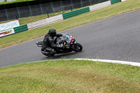 enduro-digital-images;event-digital-images;eventdigitalimages;mallory-park;mallory-park-photographs;mallory-park-trackday;mallory-park-trackday-photographs;no-limits-trackdays;peter-wileman-photography;racing-digital-images;trackday-digital-images;trackday-photos