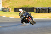brands-hatch-photographs;brands-no-limits-trackday;cadwell-trackday-photographs;enduro-digital-images;event-digital-images;eventdigitalimages;no-limits-trackdays;peter-wileman-photography;racing-digital-images;trackday-digital-images;trackday-photos