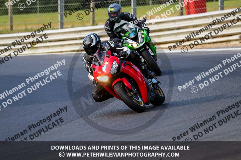 brands hatch photographs;brands no limits trackday;cadwell trackday photographs;enduro digital images;event digital images;eventdigitalimages;no limits trackdays;peter wileman photography;racing digital images;trackday digital images;trackday photos