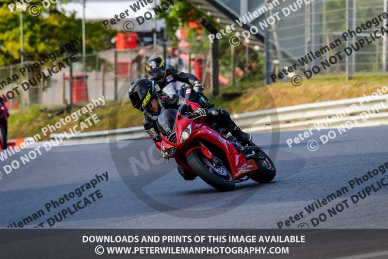 brands hatch photographs;brands no limits trackday;cadwell trackday photographs;enduro digital images;event digital images;eventdigitalimages;no limits trackdays;peter wileman photography;racing digital images;trackday digital images;trackday photos