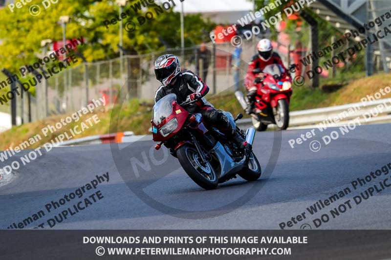 brands hatch photographs;brands no limits trackday;cadwell trackday photographs;enduro digital images;event digital images;eventdigitalimages;no limits trackdays;peter wileman photography;racing digital images;trackday digital images;trackday photos