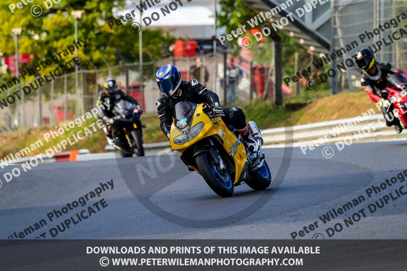 brands hatch photographs;brands no limits trackday;cadwell trackday photographs;enduro digital images;event digital images;eventdigitalimages;no limits trackdays;peter wileman photography;racing digital images;trackday digital images;trackday photos