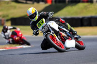 brands-hatch-photographs;brands-no-limits-trackday;cadwell-trackday-photographs;enduro-digital-images;event-digital-images;eventdigitalimages;no-limits-trackdays;peter-wileman-photography;racing-digital-images;trackday-digital-images;trackday-photos
