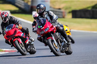 Lower Group Red Bikes