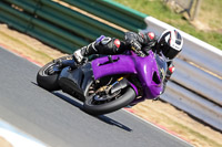 Middle Group Blue Bikes