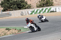 Middle  Group White Bikes