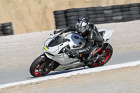 enduro-digital-images;event-digital-images;eventdigitalimages;no-limits-trackdays;park-motor;park-motor-no-limits-trackday;park-motor-photographs;park-motor-trackday-photographs;peter-wileman-photography;racing-digital-images;trackday-digital-images;trackday-photos