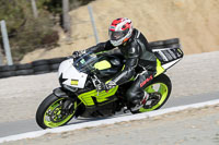 enduro-digital-images;event-digital-images;eventdigitalimages;no-limits-trackdays;park-motor;park-motor-no-limits-trackday;park-motor-photographs;park-motor-trackday-photographs;peter-wileman-photography;racing-digital-images;trackday-digital-images;trackday-photos
