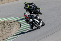 enduro-digital-images;event-digital-images;eventdigitalimages;no-limits-trackdays;park-motor;park-motor-no-limits-trackday;park-motor-photographs;park-motor-trackday-photographs;peter-wileman-photography;racing-digital-images;trackday-digital-images;trackday-photos