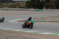enduro-digital-images;event-digital-images;eventdigitalimages;no-limits-trackdays;park-motor;park-motor-no-limits-trackday;park-motor-photographs;park-motor-trackday-photographs;peter-wileman-photography;racing-digital-images;trackday-digital-images;trackday-photos