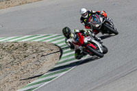 enduro-digital-images;event-digital-images;eventdigitalimages;no-limits-trackdays;park-motor;park-motor-no-limits-trackday;park-motor-photographs;park-motor-trackday-photographs;peter-wileman-photography;racing-digital-images;trackday-digital-images;trackday-photos