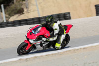 enduro-digital-images;event-digital-images;eventdigitalimages;no-limits-trackdays;park-motor;park-motor-no-limits-trackday;park-motor-photographs;park-motor-trackday-photographs;peter-wileman-photography;racing-digital-images;trackday-digital-images;trackday-photos