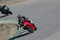 enduro-digital-images;event-digital-images;eventdigitalimages;no-limits-trackdays;park-motor;park-motor-no-limits-trackday;park-motor-photographs;park-motor-trackday-photographs;peter-wileman-photography;racing-digital-images;trackday-digital-images;trackday-photos