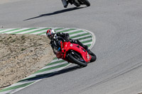 enduro-digital-images;event-digital-images;eventdigitalimages;no-limits-trackdays;park-motor;park-motor-no-limits-trackday;park-motor-photographs;park-motor-trackday-photographs;peter-wileman-photography;racing-digital-images;trackday-digital-images;trackday-photos