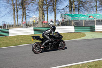 Lower Group Black Bikes