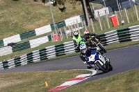 Lower Group Blue Bikes