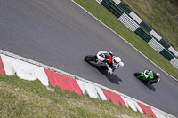 cadwell-no-limits-trackday;cadwell-park;cadwell-park-photographs;cadwell-trackday-photographs;enduro-digital-images;event-digital-images;eventdigitalimages;no-limits-trackdays;peter-wileman-photography;racing-digital-images;trackday-digital-images;trackday-photos