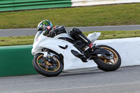 Advanced Group White Bikes