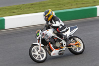 enduro-digital-images;event-digital-images;eventdigitalimages;mallory-park;mallory-park-photographs;mallory-park-trackday;mallory-park-trackday-photographs;no-limits-trackdays;peter-wileman-photography;racing-digital-images;trackday-digital-images;trackday-photos
