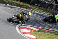 Advanced Group Yellow Bikes
