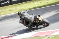 Lower Group Black Bikes