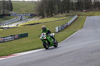 Lower Group Green Bikes