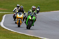 Evening Low/Mid Group Green Bikes