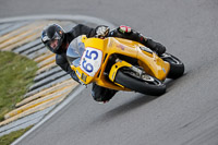 Middle Group Yellow Bikes