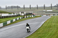 Lower Group White Bikes