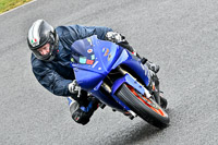 Middle Group Blue Bikes