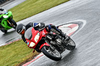 Middle Group Red Bikes