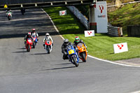 brands-hatch-photographs;brands-no-limits-trackday;cadwell-trackday-photographs;enduro-digital-images;event-digital-images;eventdigitalimages;no-limits-trackdays;peter-wileman-photography;racing-digital-images;trackday-digital-images;trackday-photos